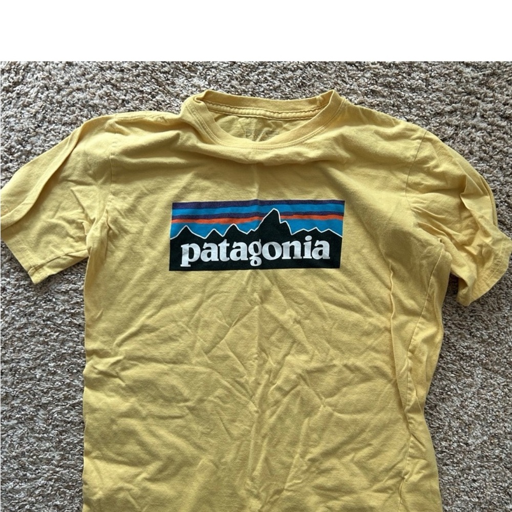 patagonia t shirt